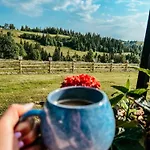 Owczarnia Tatry