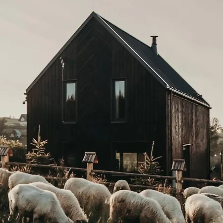 Owczarnia Tatry Bukowina Tatrzańska