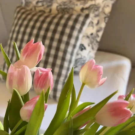 Owczarnia Tatry * Bukowina Tatrzańska