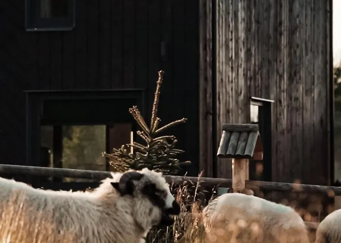 Dom wakacyjny Owczarnia Tatry *